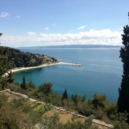 Bellina 스플리트